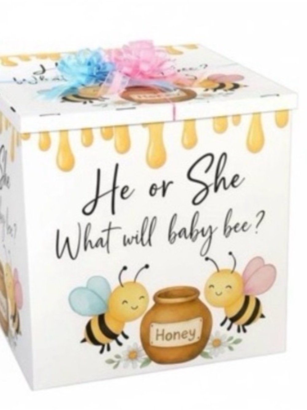Gender Reveal He or She Honey Bee Surprise Box - Blue & Pink